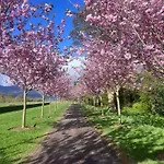 Dom wakacyjny Nature Lovers Family - 3 Bed 2 Bath *